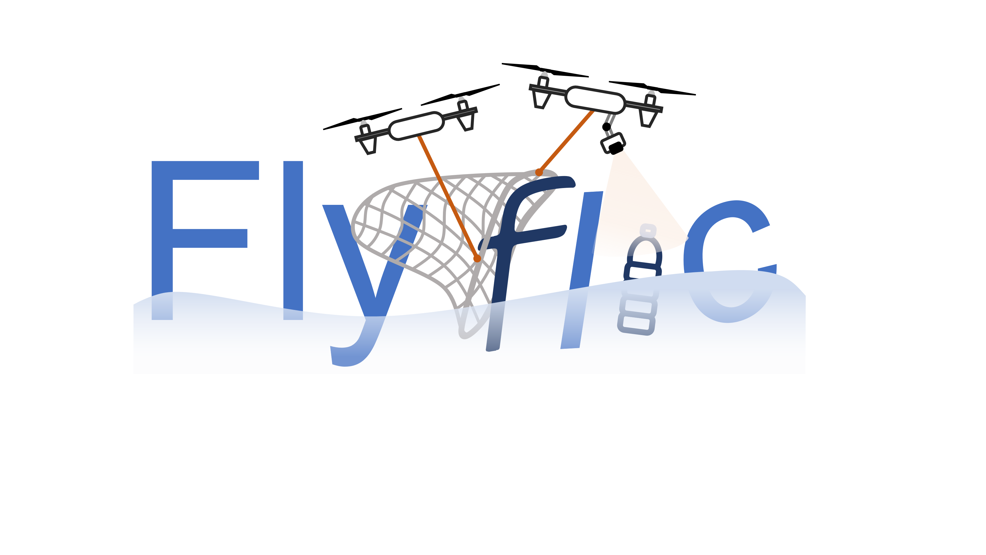 FlyFlic